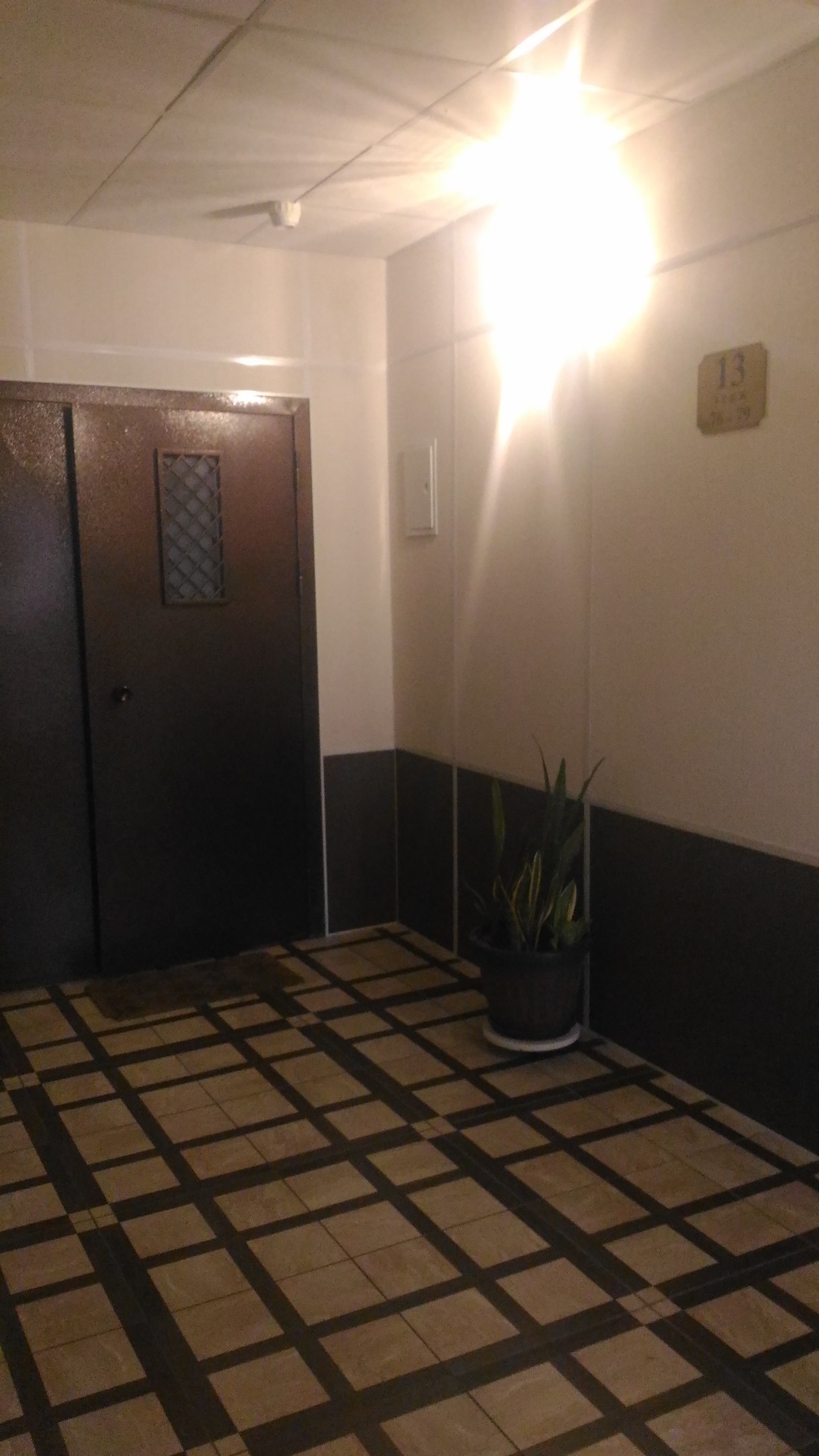 Квартира в Девяткино, 78 м² — фото 2